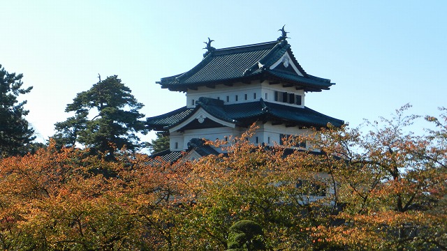 DSCN5433.jpg
