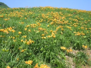 二宮家_108.JPG