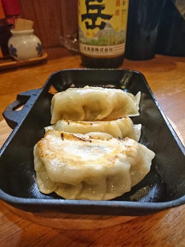 gyoza.jpg