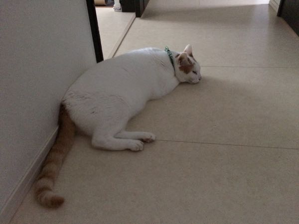 rblog-20150901063249-01.jpg