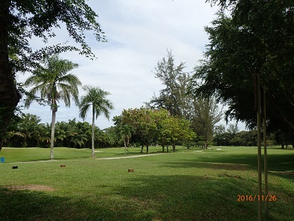 PB260130.JPG
