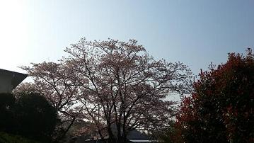 20140410_080321.jpg