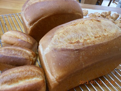 DSCN1247.jpg
