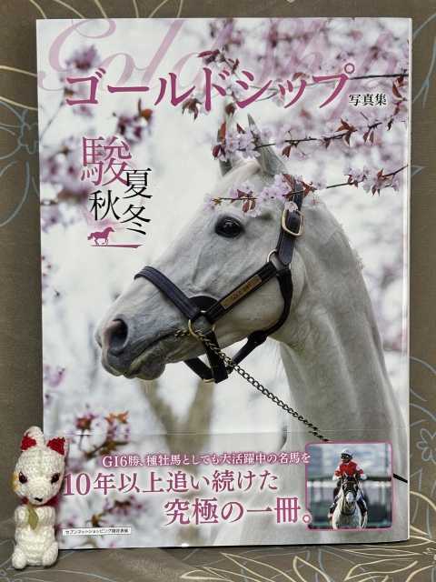 ゴールドシップ写真集 駿夏秋冬（競馬王編集部） | ルー