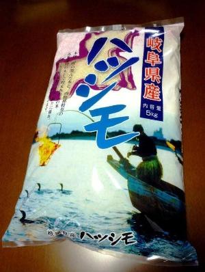 ハツシモ.jpg