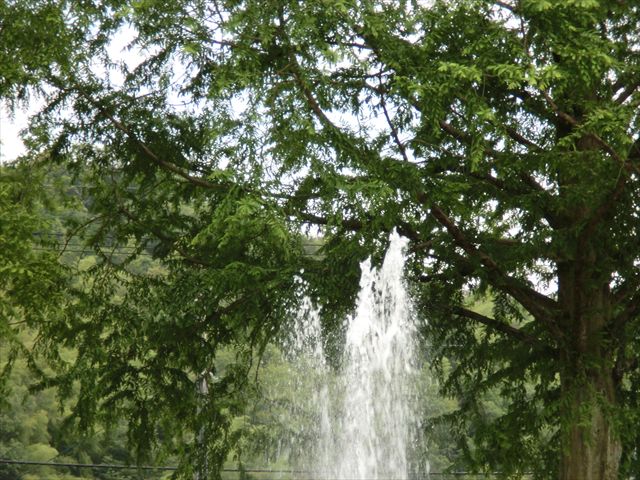 CIMG4828_R.JPG