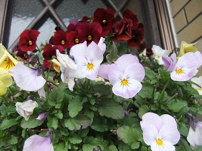 DSCF2771.jpg