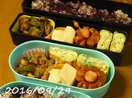 20160929.JPG