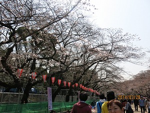 IMG_1962b.jpg