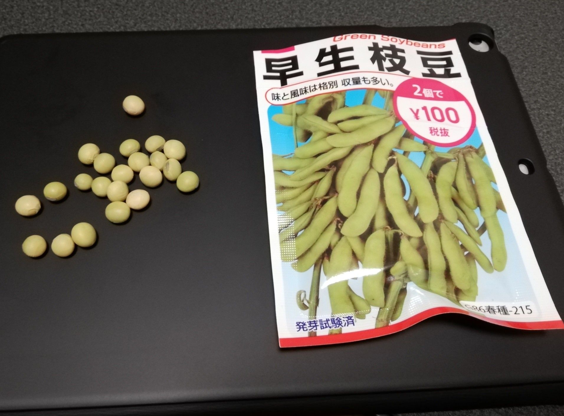 牛乳パックの大さや枝豆栽培が大失敗 腐ってやがるよ 牛乳パックと発泡スチロールで家庭菜園してみたら結構難しくて何回も失敗したけど結果から少しずつ学んでいくブログ 楽天ブログ