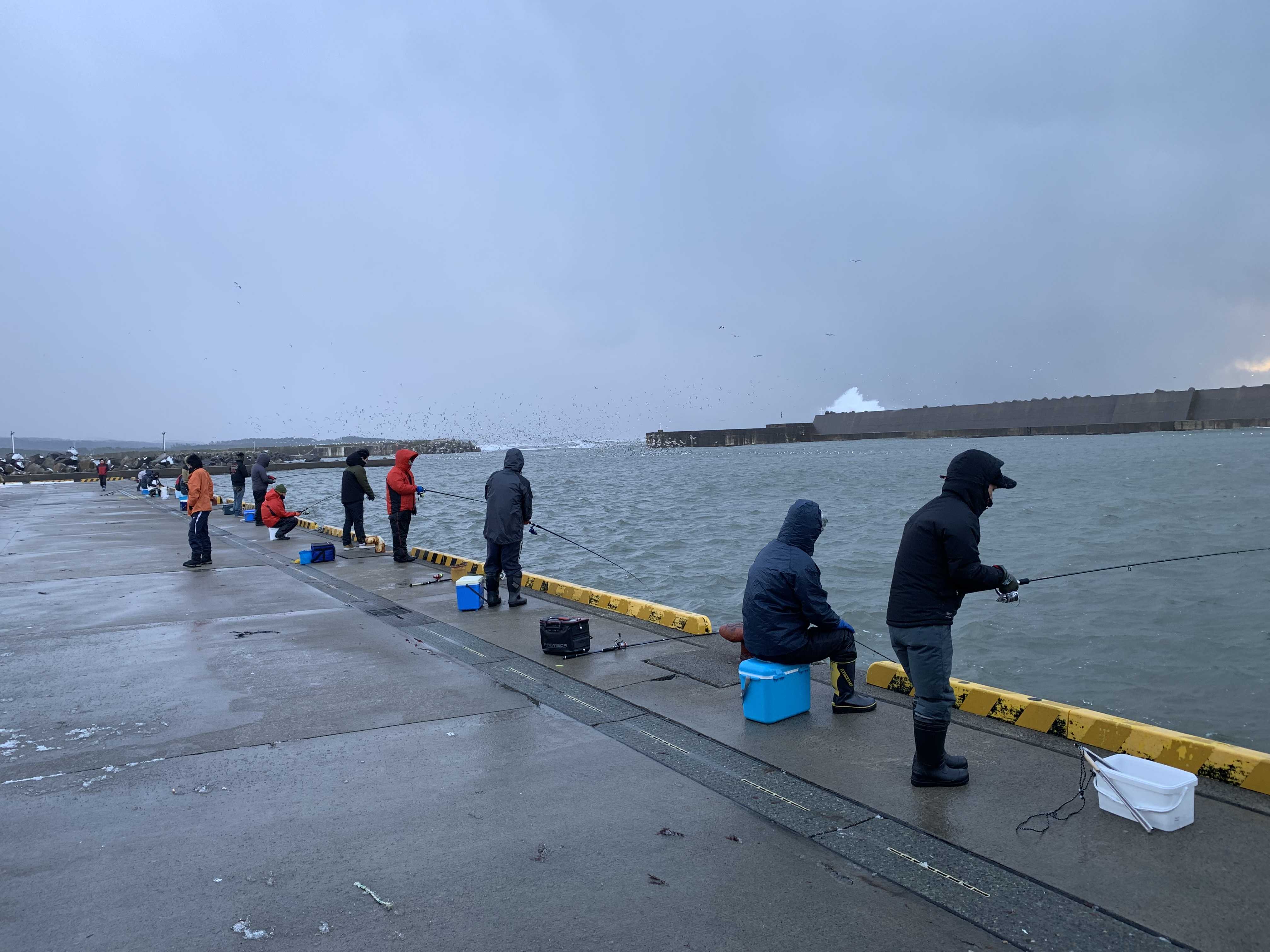 21ハタハタ Tsukatsuka44気ままな釣り 最上川桜鱒と鱸 ワカサギ トラウト 楽天ブログ