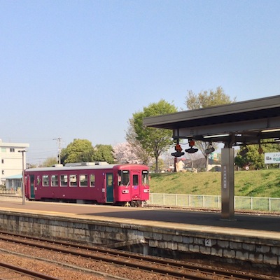 桜と電車