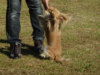 20121016150538[1].jpg
