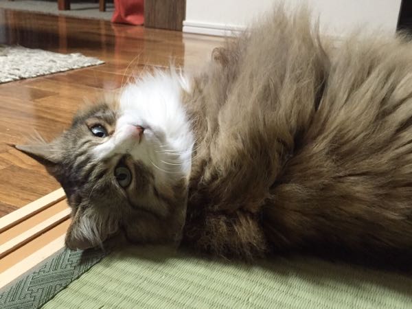 rblog-20150515210128-03.jpg