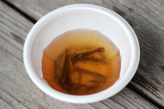 じんぞく出汁♪