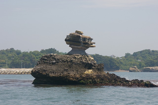 IMGP1037.jpg
