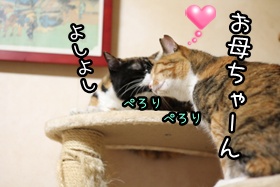 画像 002.jpg