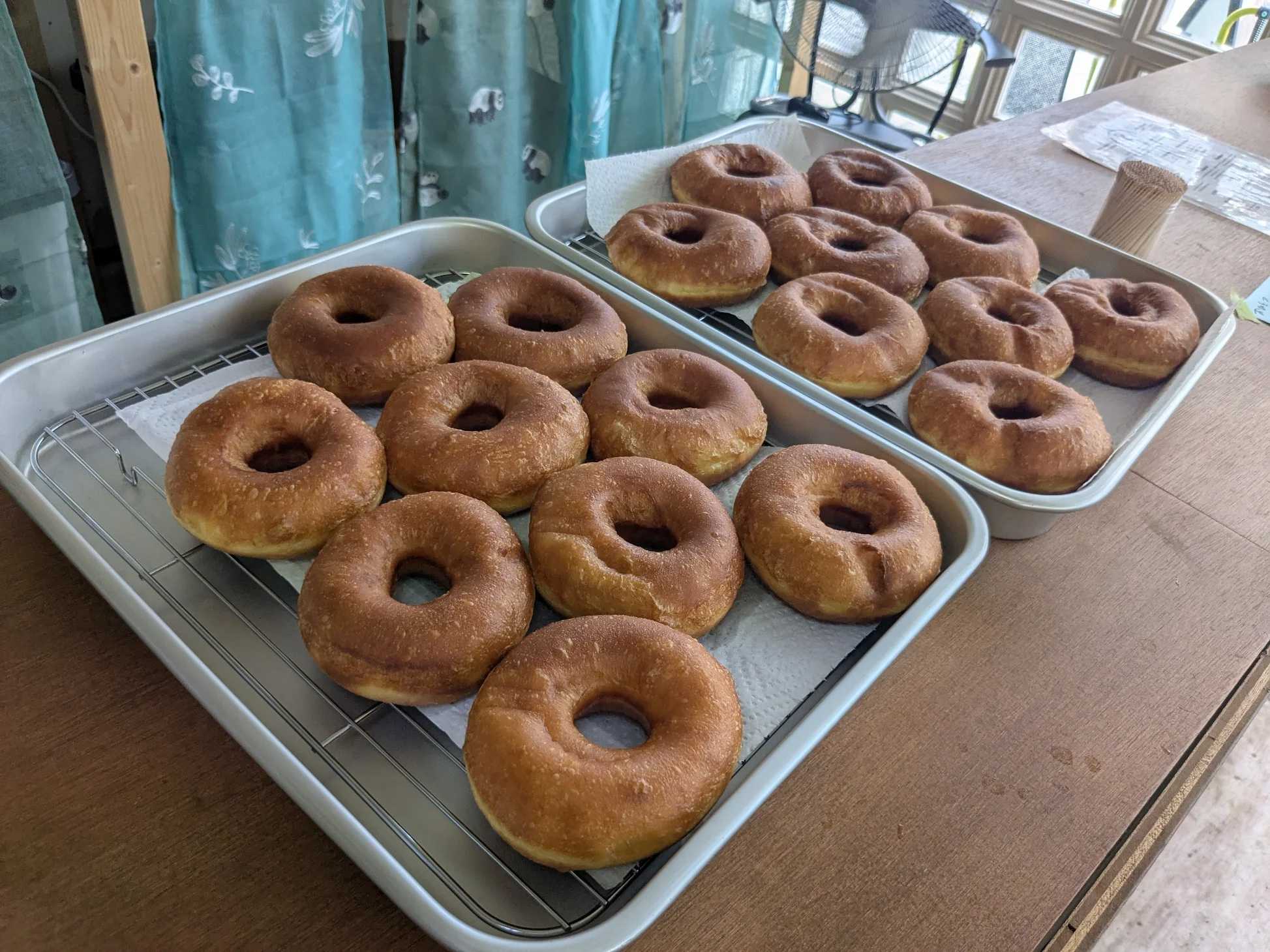 勝浦駅 ドーナツカフェ くろねこドーナツ　朝一の商品ラインナップ　内観ディスプレイ