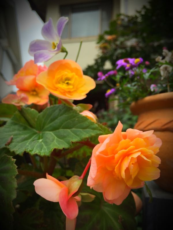 rblog-20151029145335-05.jpg