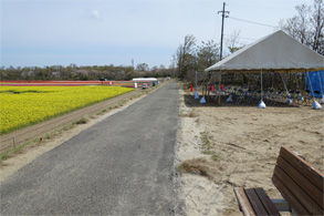 新潟390.jpg