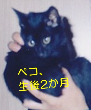 20120914_2.jpg