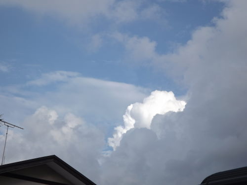 2012-09-01-3-b.JPG