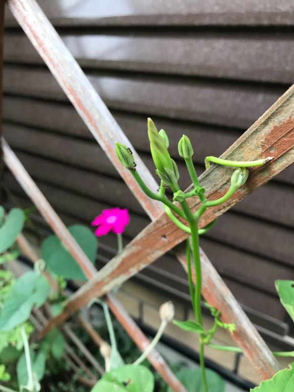 rblog-20180628172308-02.jpg