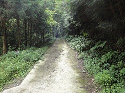 DSC06221.jpg