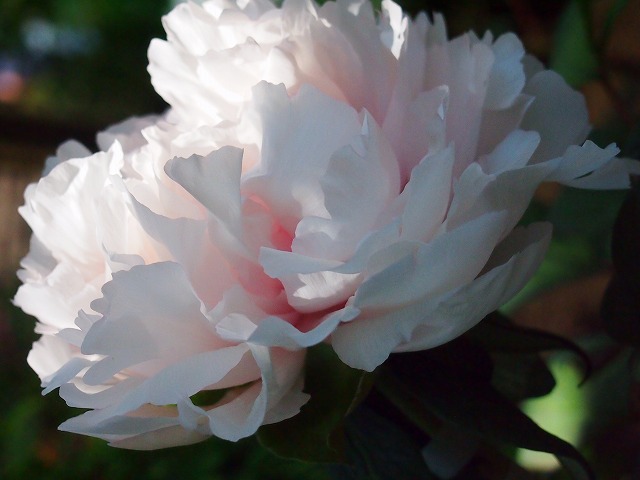 s-p1649.jpg