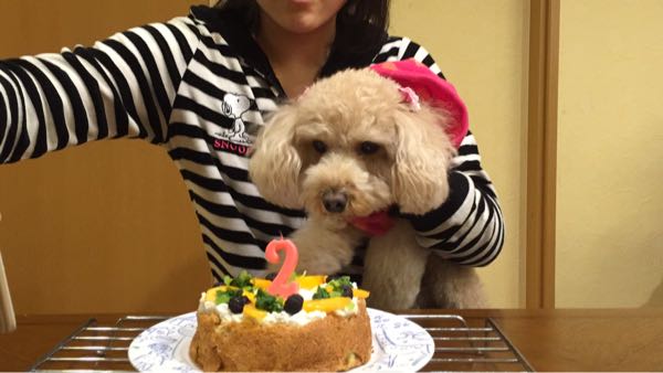 rblog-20151114213947-06.jpg