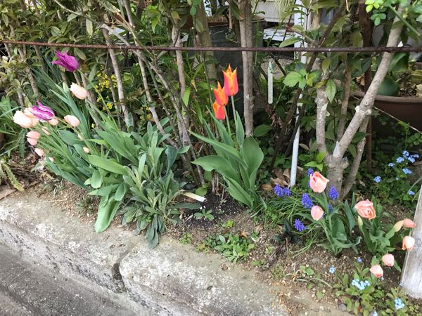 rblog-20180408181337-00.jpg