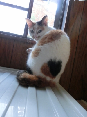 CIMG2101 (300x400).jpg
