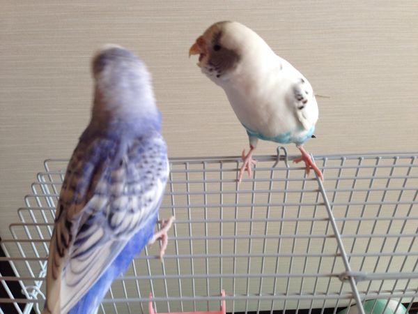 rblog-20140201130930-03.jpg