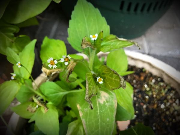 rblog-20161128165327-08.jpg