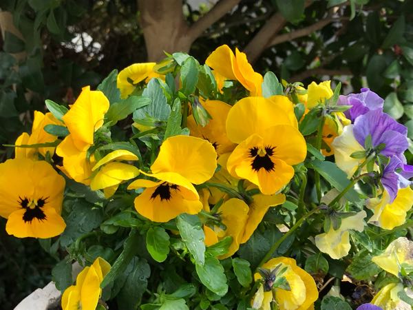 rblog-20190401163907-04.jpg