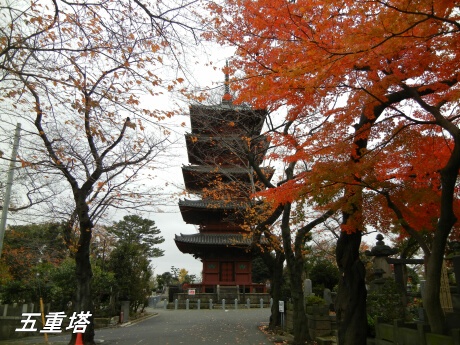 池上本門寺にて