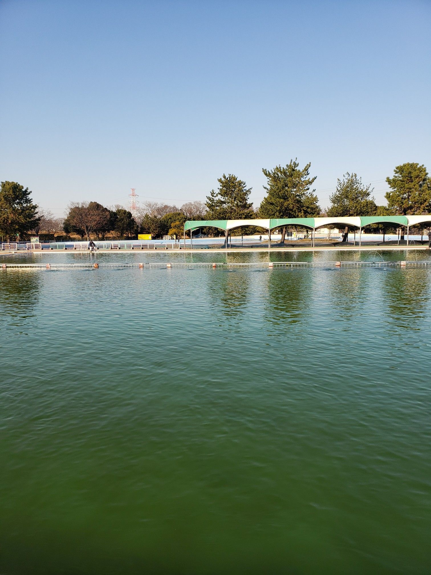 水曜日がお得 川越水上公園釣行記 No Fish No Life 3度の飯より釣りが好き 楽天ブログ 水曜日がお得 川越水上公園釣行記 No Fish No Life 3度の飯より釣りが好き 楽天ブログ