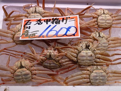 P1080679.jpg