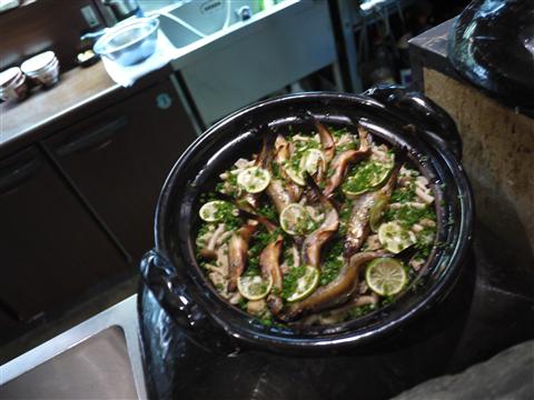P1150039.jpg