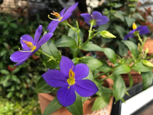 rblog-20170926173506-01.jpg