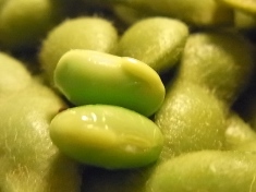 枝豆最高 (4)