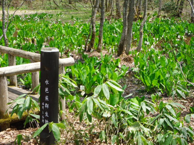 DSC01050.JPG