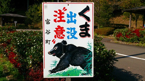富谷町の熊注意.jpg