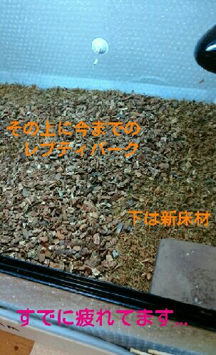rblog-20151014194728-04.jpg