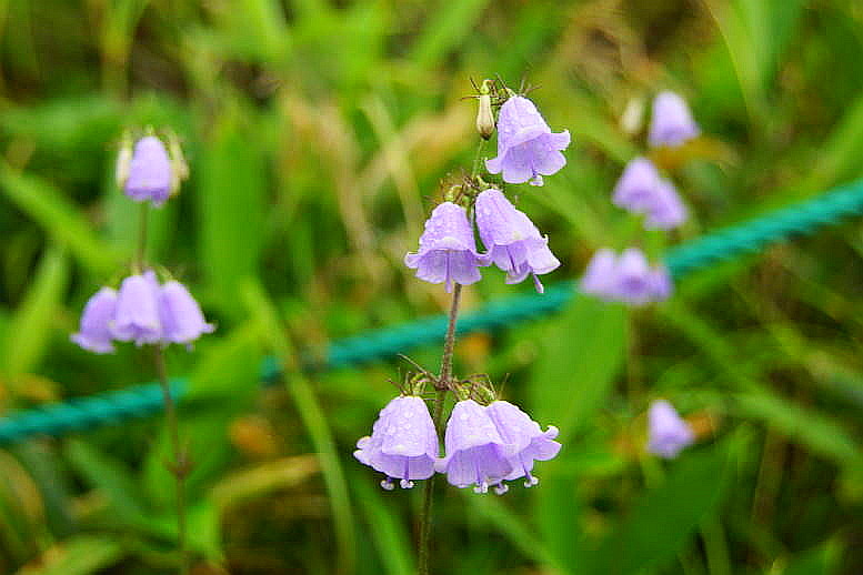 0152DSC01927.JPG