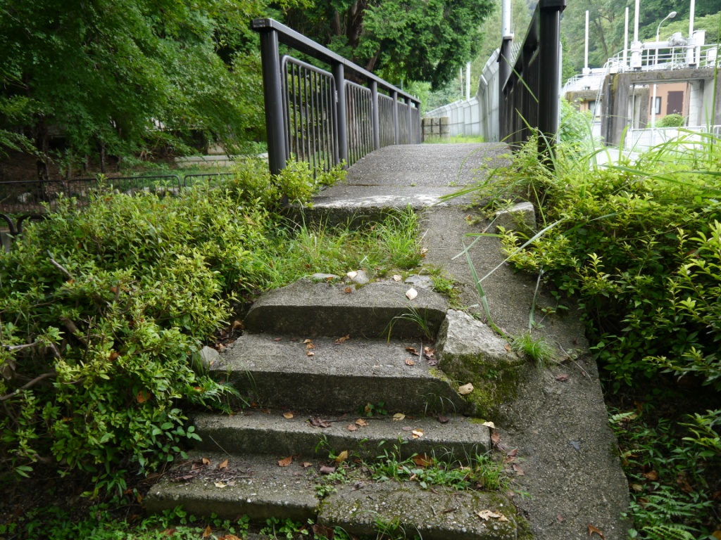P1080348.JPG