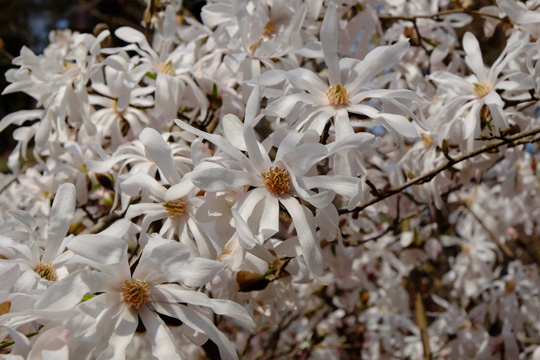 2016 03 31_2358.jpg