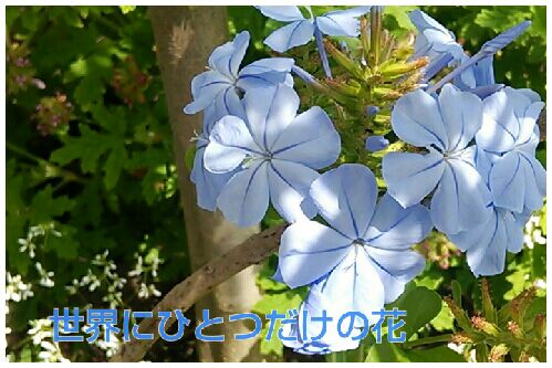 rblog-20160610222602-00.jpg