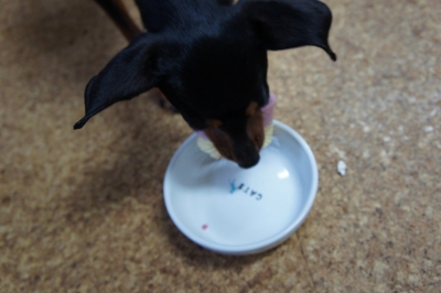 DSC00687.jpg