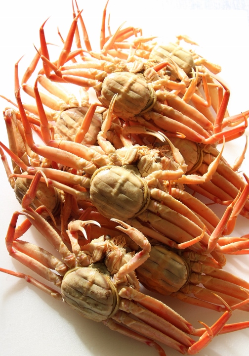 せこ　404杯目 (1).jpg